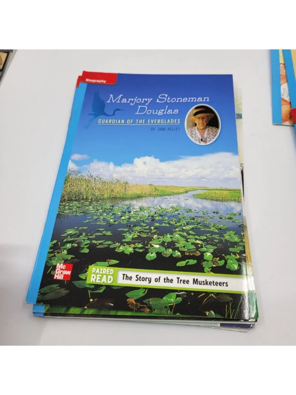 McGraw-Hill Leveled Readers Grade 5 Lot of 13 Paired Readers - BK094